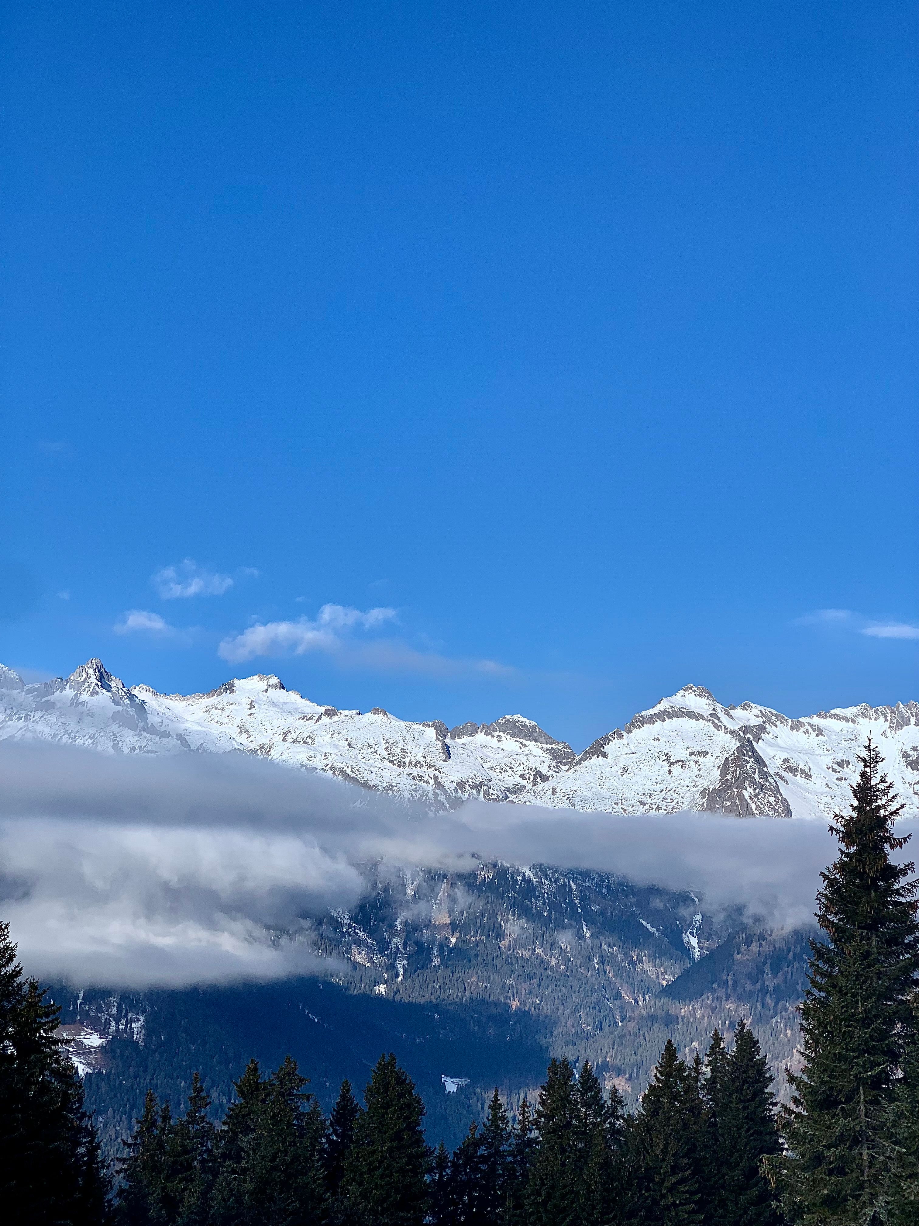 Montagne innevate e abeti
