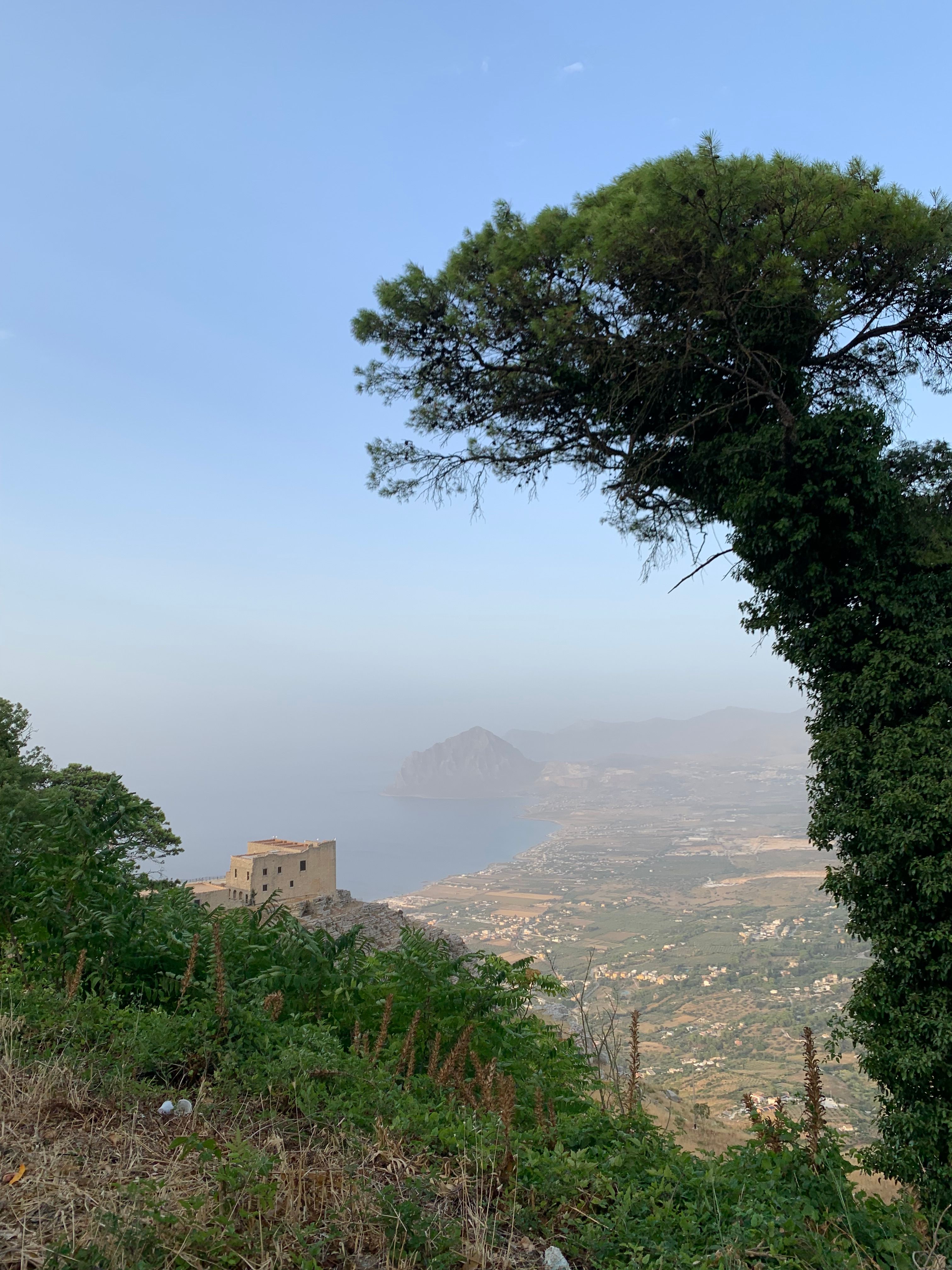 Un pino contro il cielo
