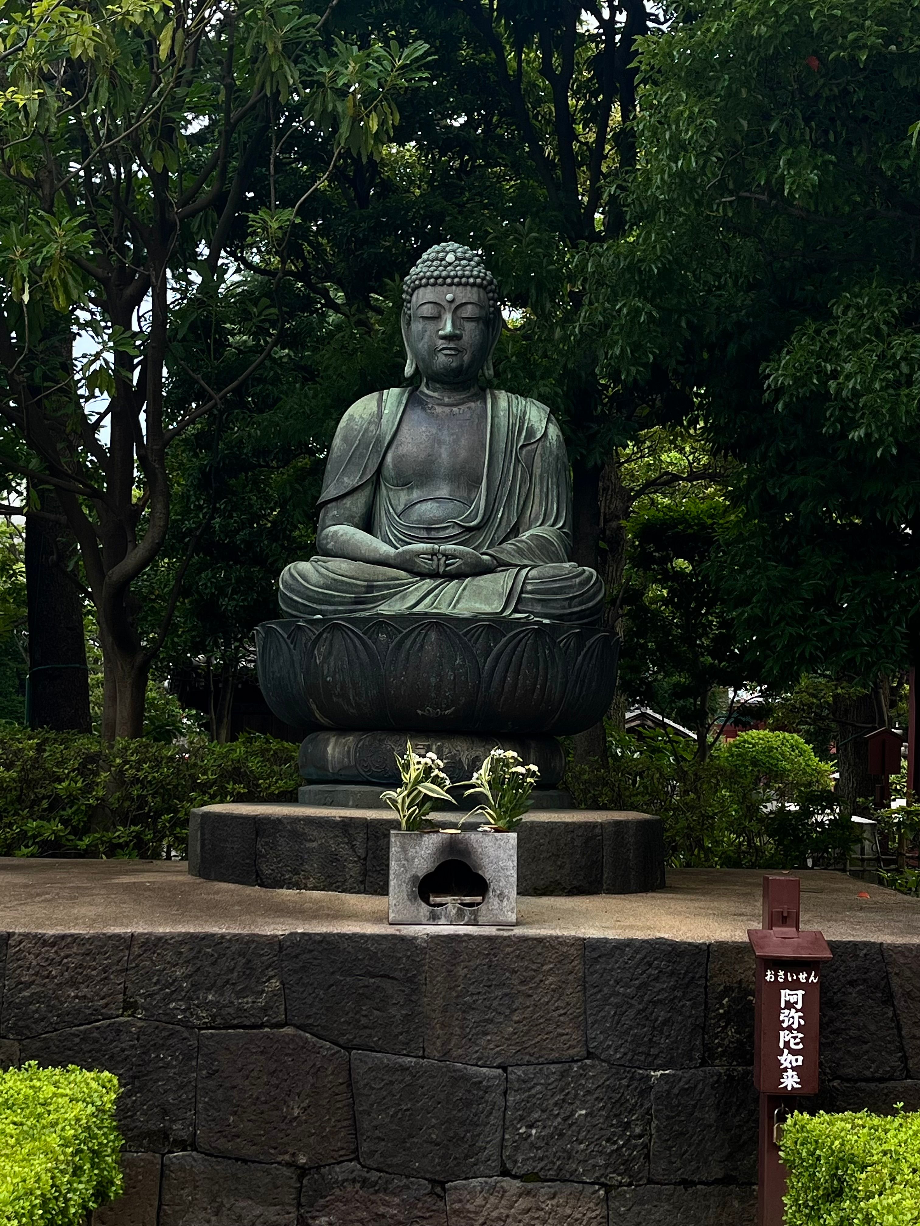 Una statua del Buddha nel verde